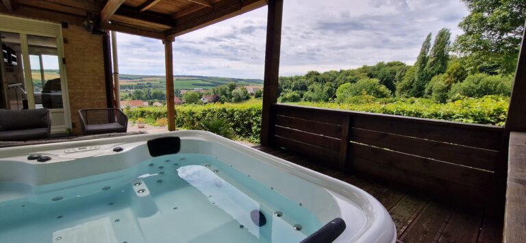 JACUZZI AVEC VUE